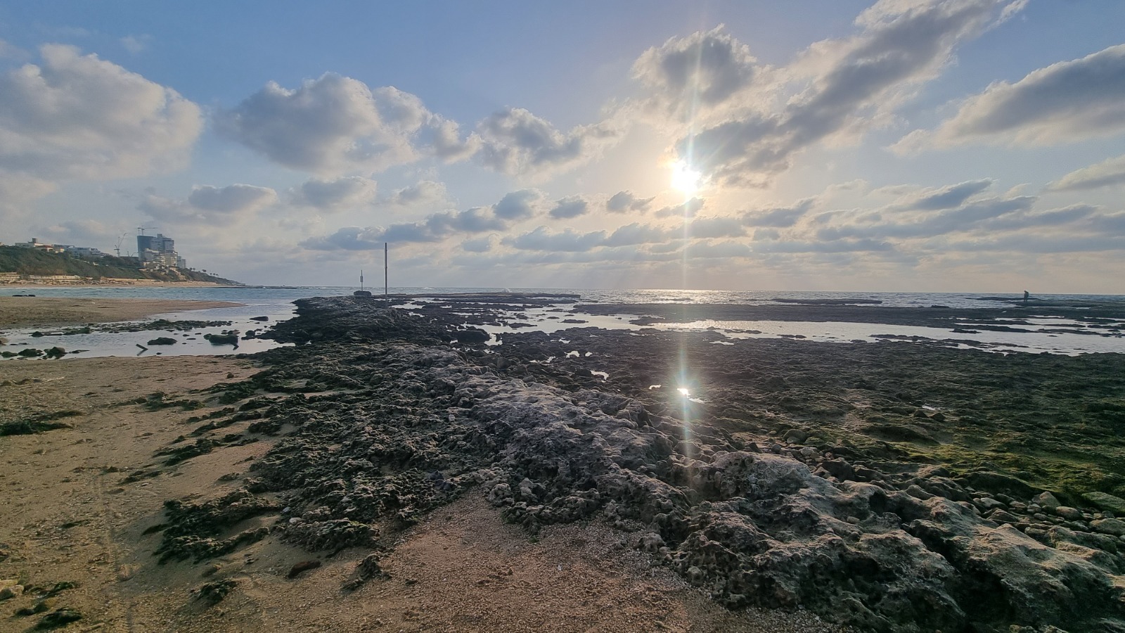 WhatsApp Image 2023-02-20 at 5.53.59 PM (18).jpeg